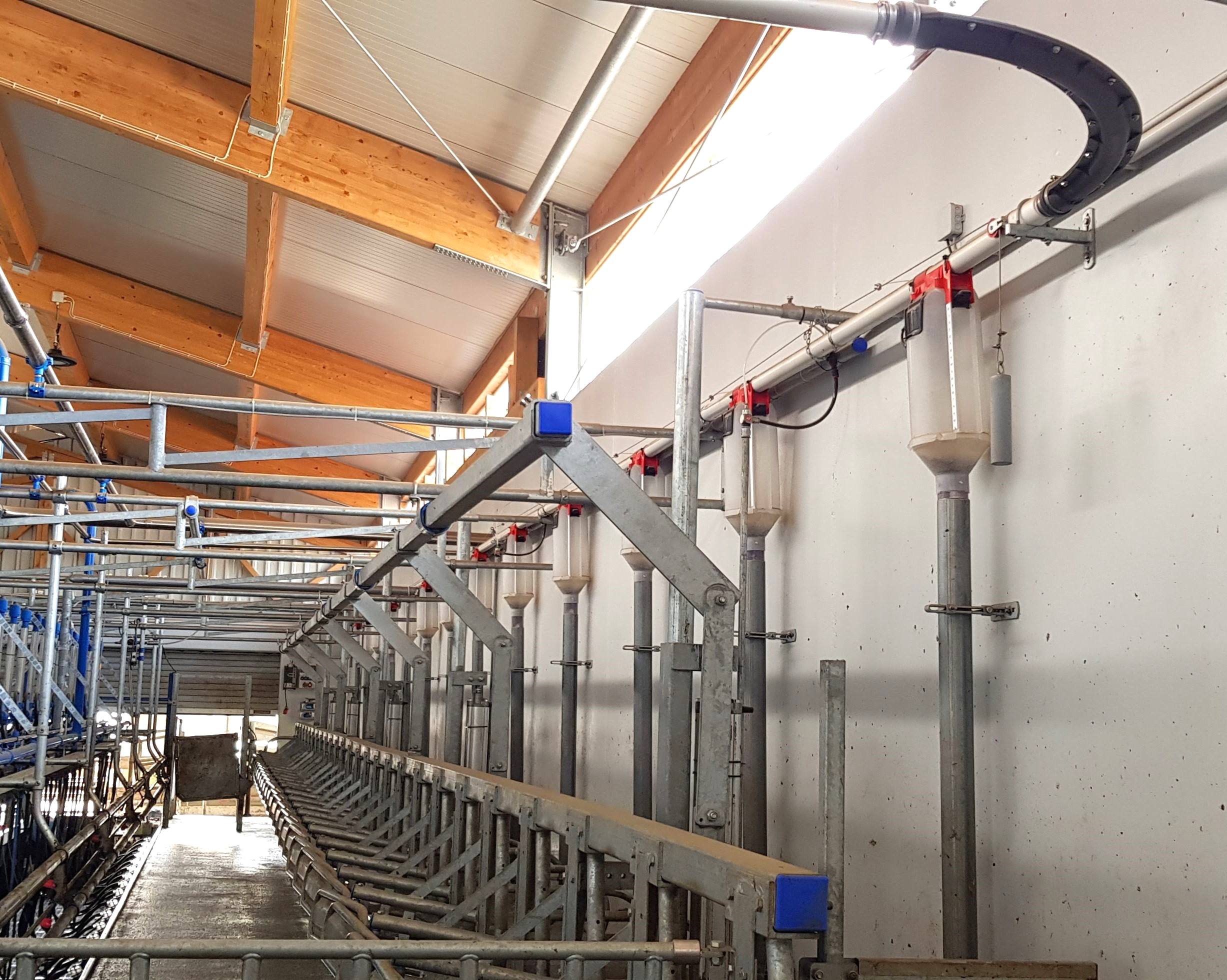 1.2 Spirale Melkstandfütterung