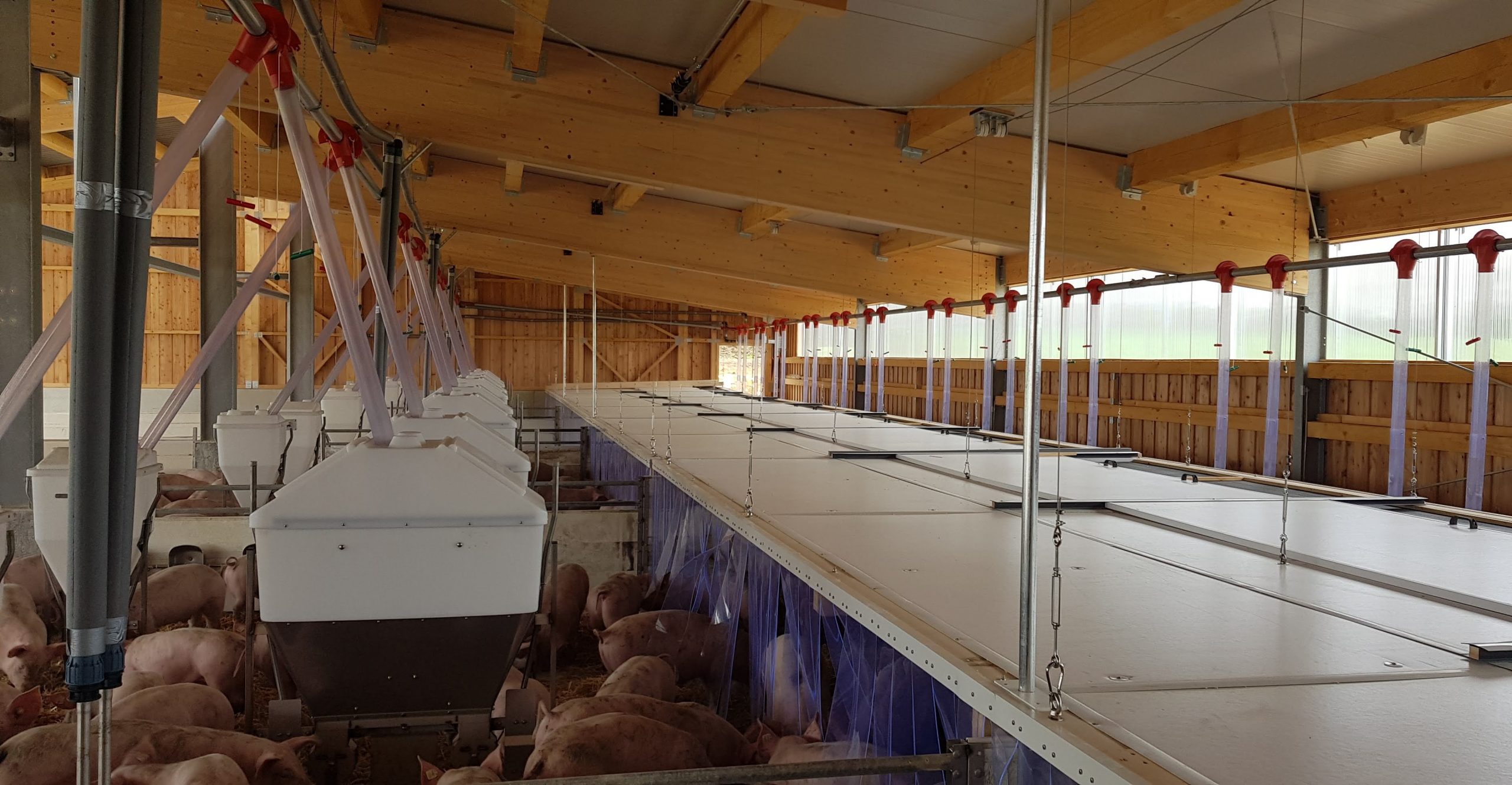 3 Ferkelstall